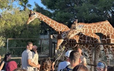 Sortie réserve Sigean pour les enfants de LA CLE